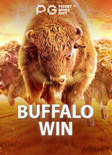 เล่นบอล สูง ต่ํา 2.5joker โปร 50 แบบเซียน ต้องลอง!